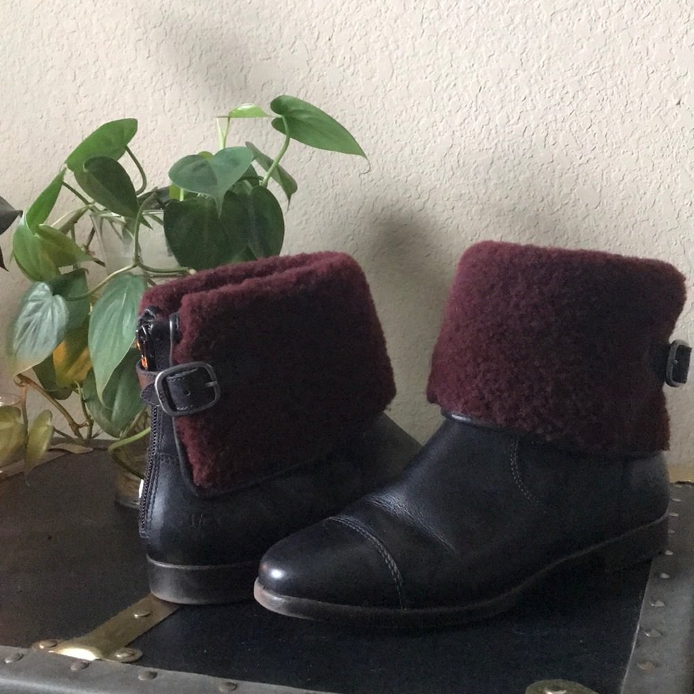 UGG Inez Ankle Boots